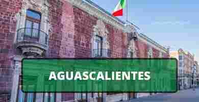 Solicitar constancia antecedentes no penales en aguascalientes