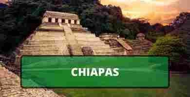 Solicitar constancia antecedentes no penales en chiapas