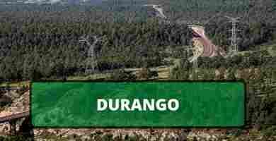 Solicitar constancia antecedentes no penales en durango